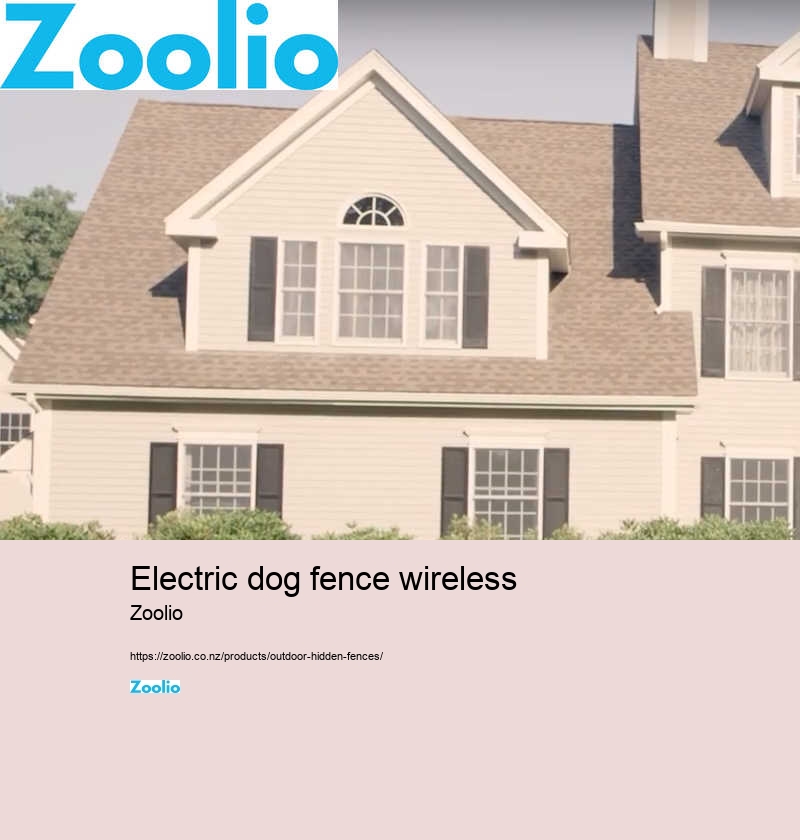 electric dog fence wireless