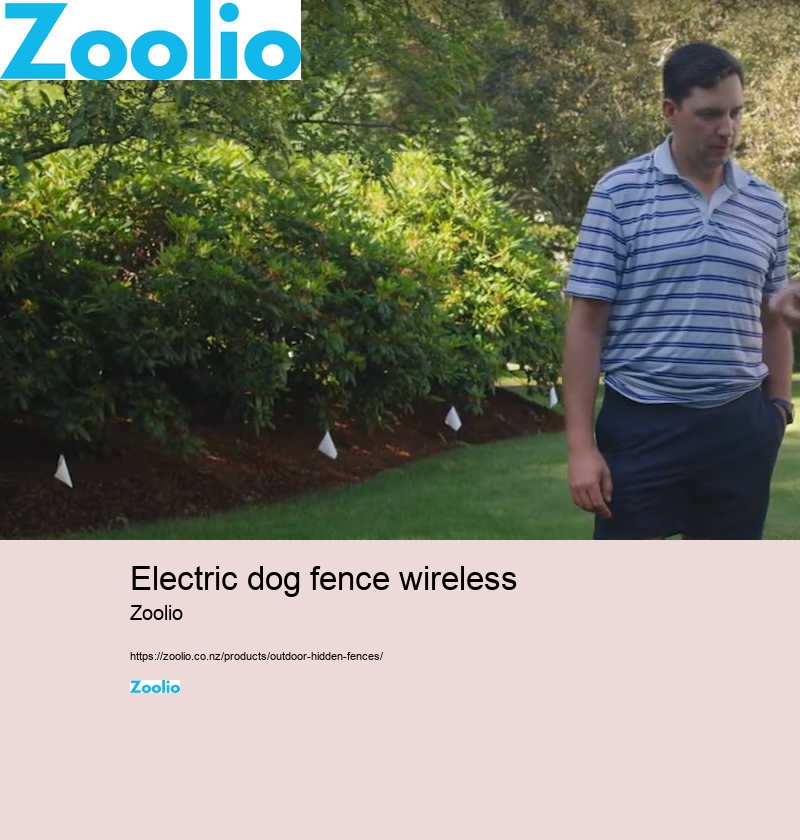 best wireless dog fence