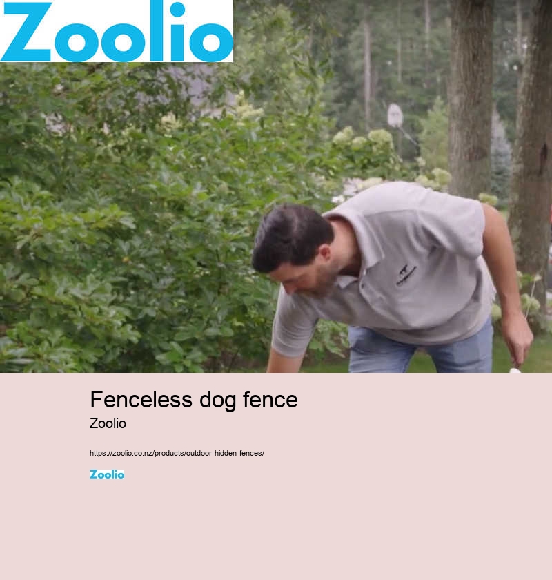 fenceless dog fence