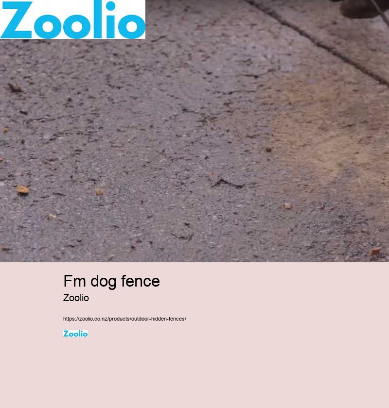 dog electric fence