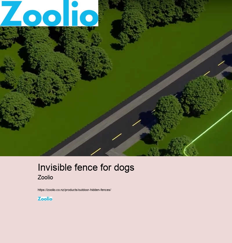 invisible fence for dogs