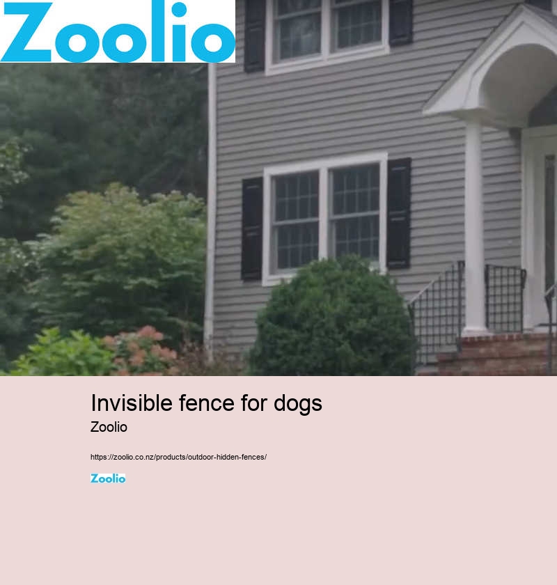 invisible fence for dogs